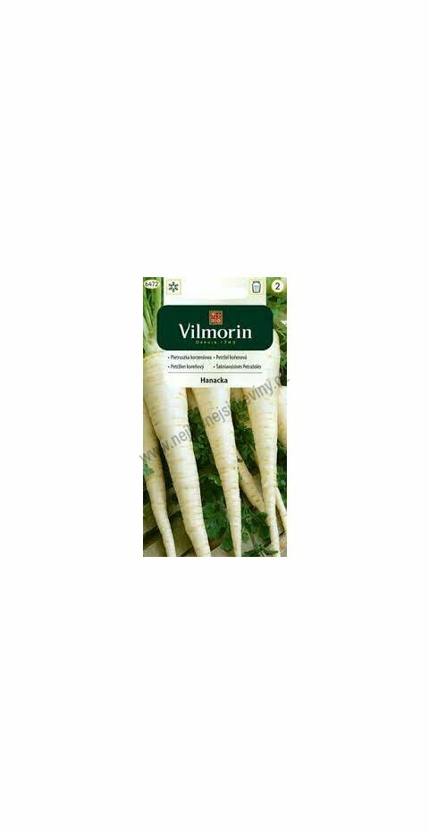 Vilmorin CLASSIC Petržel kořenový HANACKA pozdní 5 g